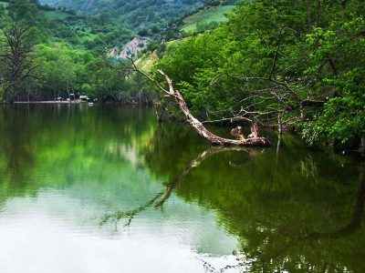 روستای کوتنا| داستانی از سرسبزی و سنت‌های مازندرانی