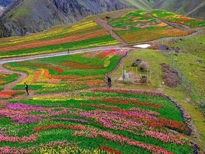 روستای کُندُر: صحرا اسدالهی  بازیگر سینما و تلویزیون در خانه پدری