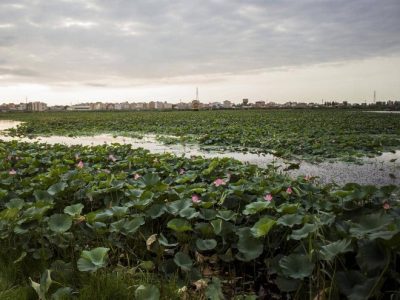 دومین جشنواره فرهنگی، گردشگری و زیست محیطی او تی‌تی در مازندران افتتاح شد